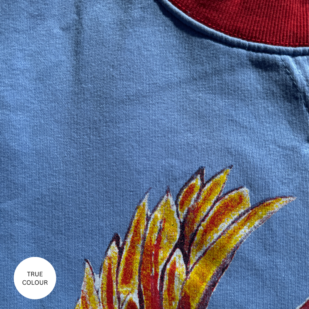 DIEGO JUMPER- DREAM BIG BRENDA - PERIWINKLE