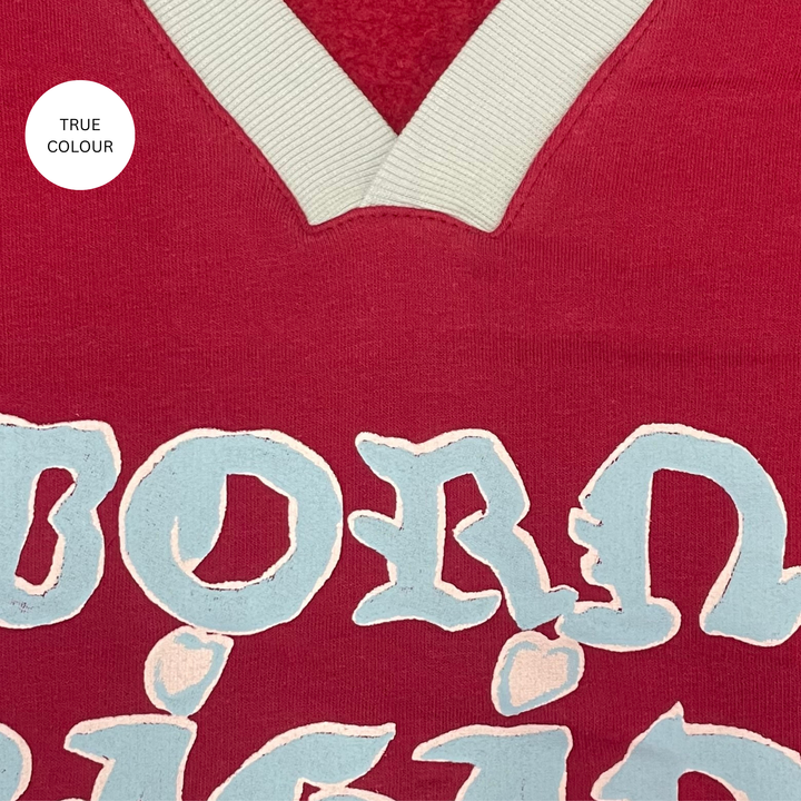 THE BORN ORIGINAL V NECK DIEGO JUMPER - MAROON & SKY