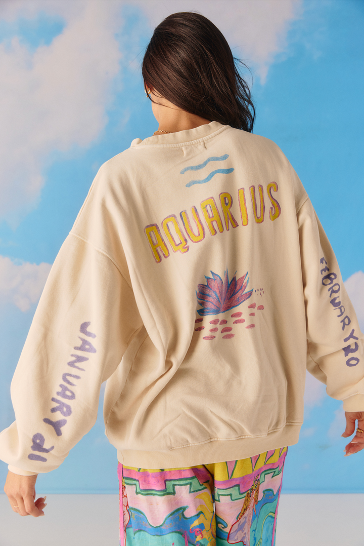 THE DIEGO JUMPER - AQUARIUS