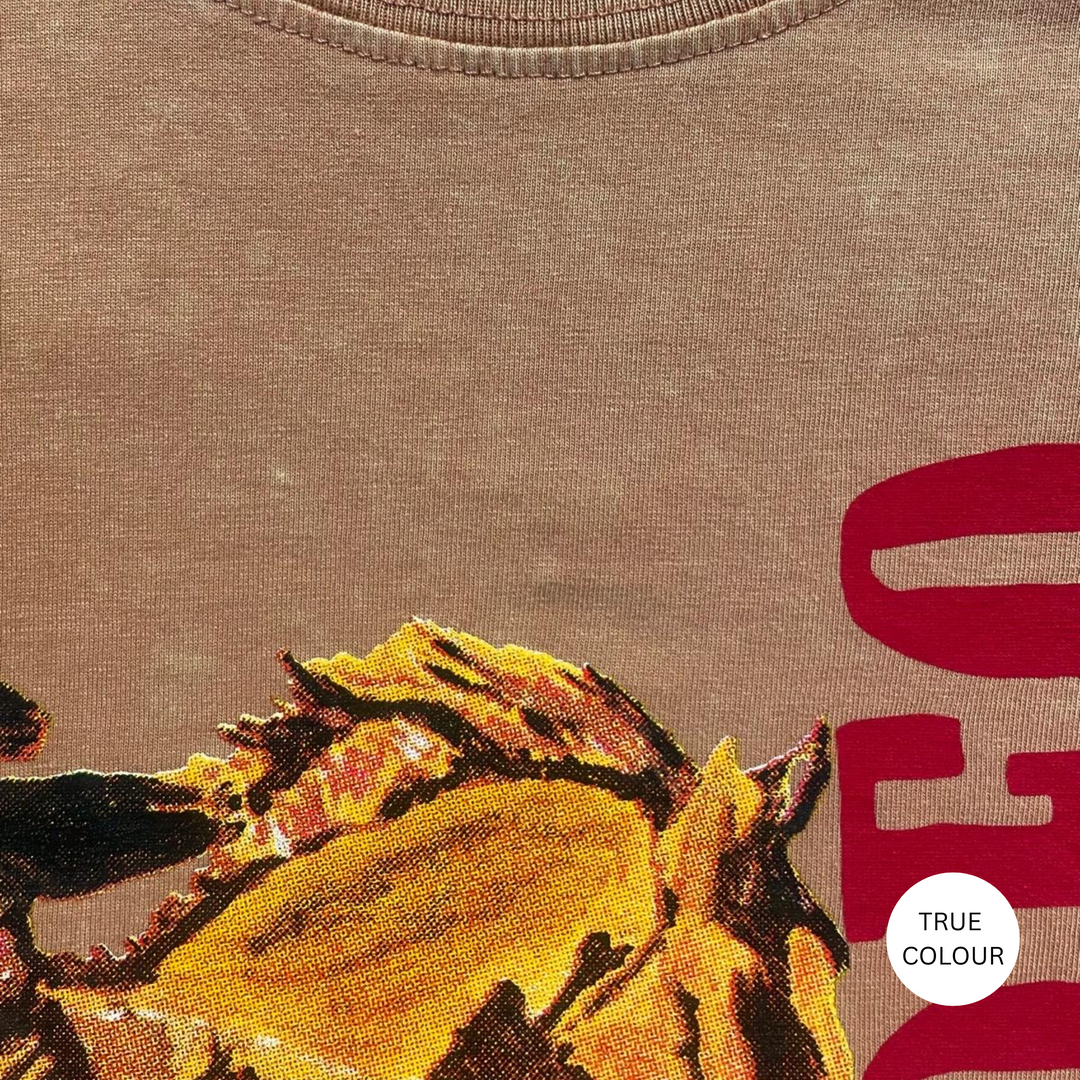 THE VERY OVERSIZED SABBI RODEO TEE - BLUSH