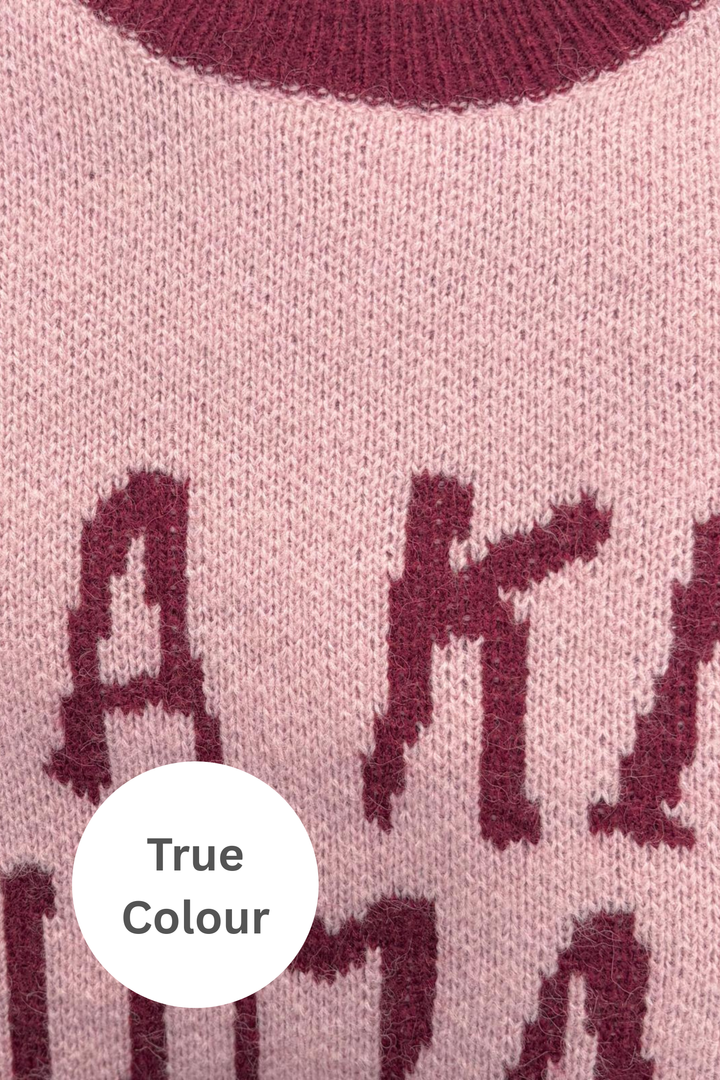 BE A KIND HUMAN KNIT JUMPER - PINK