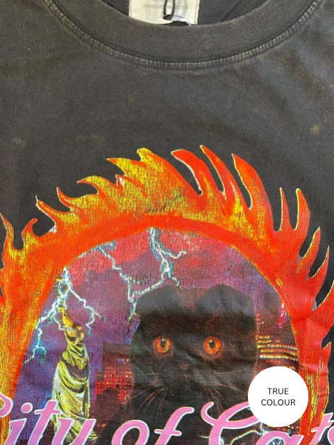 CATS TEE - BLACK