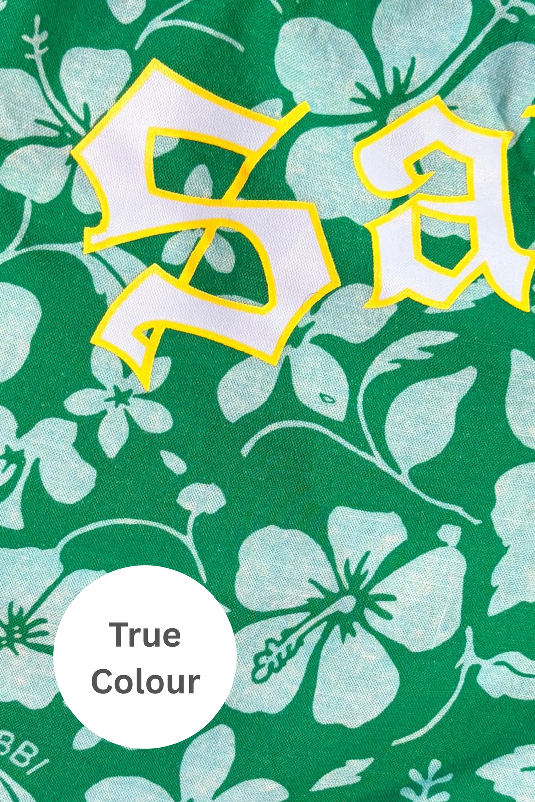 THE ALTOS SHORTS - SAILOR GREEN