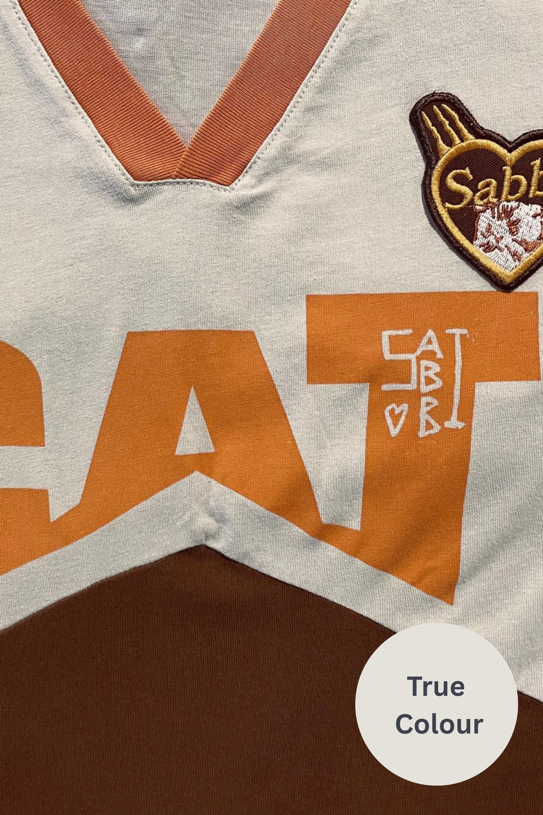 THE CAT OVERSIZED V NECK TEE - PEACH & BROWN