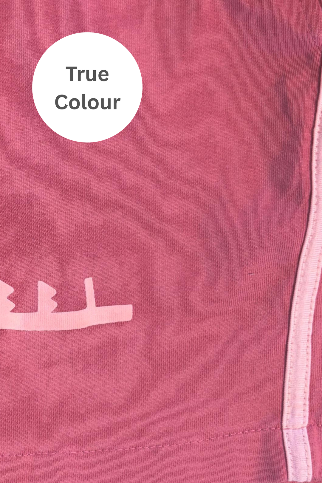 THE MARGIE CHIDO SHORTS - PINK